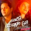 Nelum Pokuna Laga mp3 Download