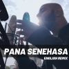 Pana Senehasa (English Remix) mp3 Download