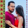 Nurawee ( Acoustic Version ) mp3 Download