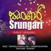 Srungari mp3 Download