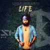 Life mp3 Download