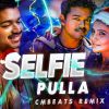 Selfie Pulla (CMBeats Remix) mp3 Download