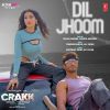 Dil Jhoom mp3 Download