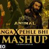 Satranga X Pehle Bhi Main (Mashup) mp3 Download