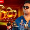 Heena (Reggae) mp3 Download