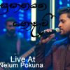 Susanayaka Nodavi (Senehasakata Aruthak Live in Concert) mp3 Download