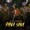 Pana Sina mp3 Download