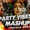 Party Vibes Hindi Mashup mp3 Download