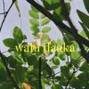 Wahi Daaka mp3 Download