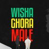 Wisha Ghora Male mp3 Download