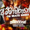 Ammawarune Remix mp3 Download