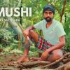 Mamushi (Parody Version) Cover mp3 Download