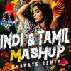 Hindi & Tamil Party Vibes Mashup (Remix) mp3 Download