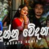 Dunnu Wedana (Remix) mp3 Download