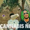 Cannabis Nidahasa mp3 Download