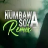 Numbawa Soya (Hirimal Wasse) Remix mp3 Download