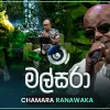 Malsara (Ma Nowana Mama With Chamara Ranawaka) mp3 Download