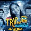 Trip Eka Pandarin Dj Remix mp3 Download