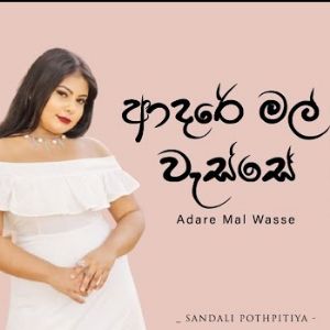 Adare Mal Wasse mp3 Download