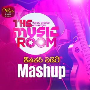 Mashup By Jinger White mp3 Download