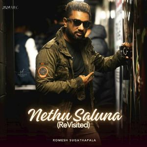 Nethu Saluna (Remake) mp3 Download