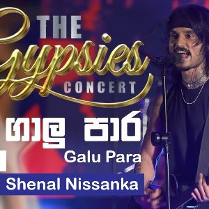 Galu Pare (The Gypsies Concert) mp3 Download