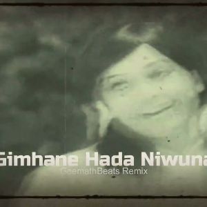 Gimhane Hada Niwuna (Remix) mp3 Download