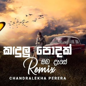 Kandulu Podak Oba Dase (Remix) mp3 Download