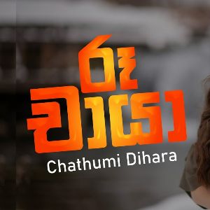 Ruu Chaya (Remix) mp3 Download