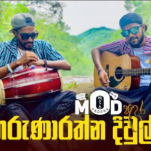 Karunaratne Diulgane (Samanala Wewa x Ma Obath Ekka x Mala Giraviye) mp3 Download