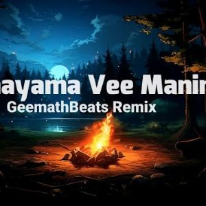 Paththayama Vee Maninna (Remix) mp3 Download