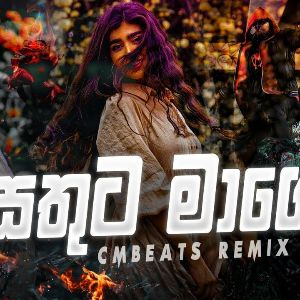 Sathuta Mage (Remix) mp3 Download