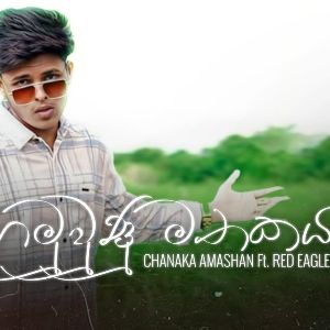 Hamuwunu Mathakaya mp3 Download