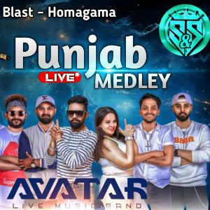 Punjab Medley (Live at S&S Fire Blast) mp3 Download