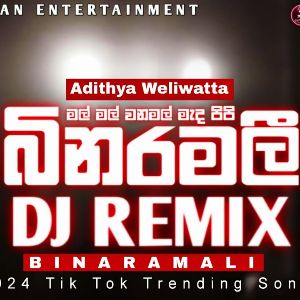 Binaramali Dj Remix mp3 Download