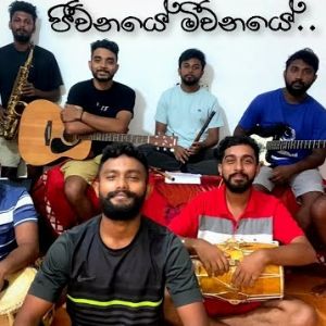 Jeewanaye Meewanaye Cover mp3 Download