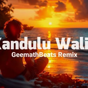 Kandulu Walin (Remix) mp3 Download