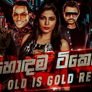 Old Is Gold Mashup Sinhala Hindi Song Sinhala New Dj Remix mp3 Download