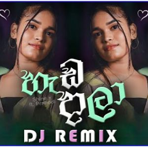 Shine X Heda Dala Dj Remix mp3 Download