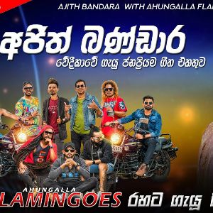 Ajith Bandara With Ahungalla Flamingoes 2024 mp3 Download