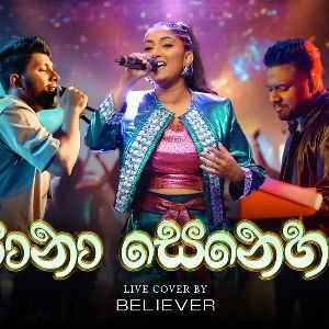 Pana Senehasa (Live Cover) mp3 Download