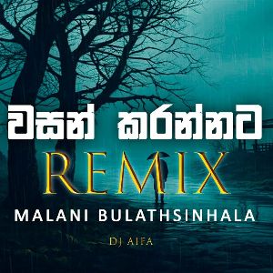 Wasan Karannata Ba (Remix) mp3 Download