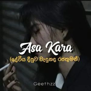 Asa Kara (Slowed And Reverb) Remake mp3 Download