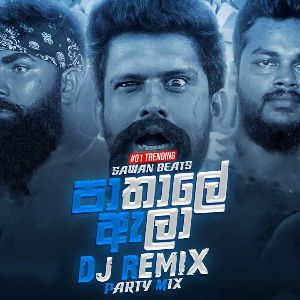 Pathale Alaa (Remix) mp3 Download