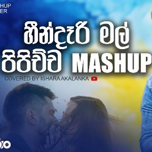 Heendari Mal Pipichcha Mashup (Cover) mp3 Download