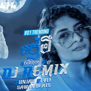 Premi Mashup Cover DJ REMIX mp3 Download