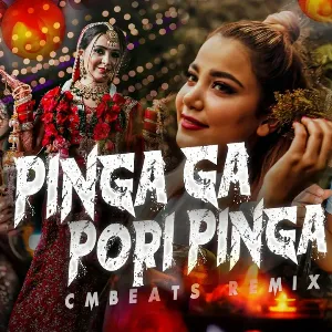 Pinga Ga Pori Pinga (Remix) mp3 Download