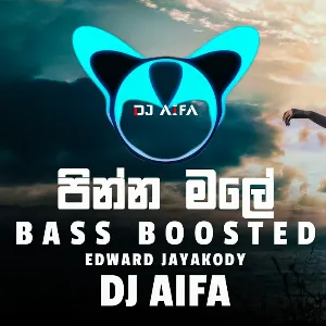 Pinna Male (Remix) Bass Boosted mp3 Download