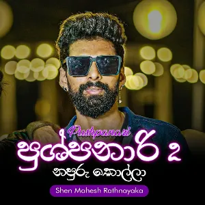 Napuru Kolla (Pushpanari 2) mp3 Download